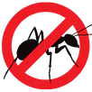 Ant Control Thomastown