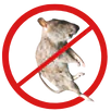 Dead Animal Removal Thomastown