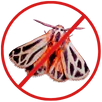 Moth Control Thomastown
